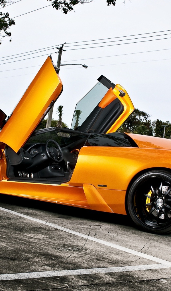 Оранжевый Lamborghini murcielago
