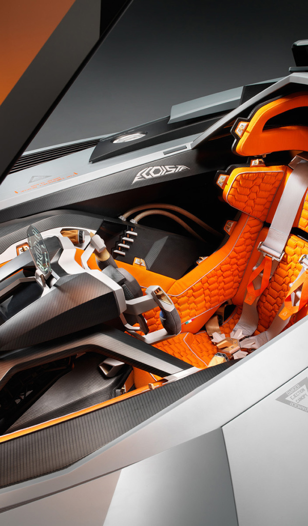 Новый автомобиль Lamborghini Egoista