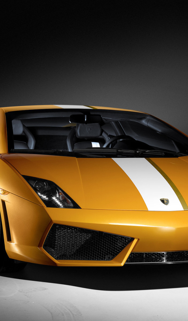 Фото автомобиля Lamborghini Gallardo