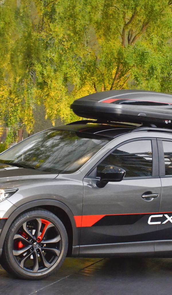 Фото автомобиля Mazda CX 5