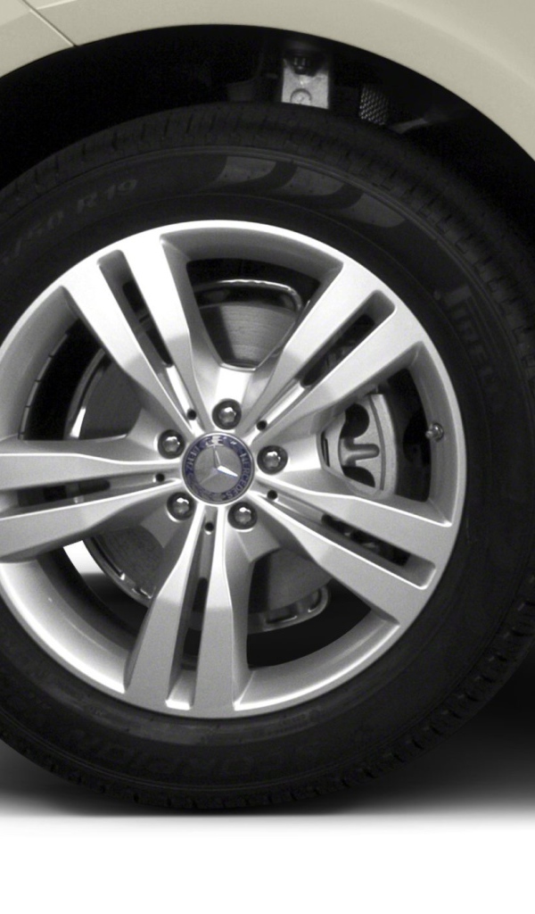 Тест драйв автомобиля Mercedes V-Class 2014