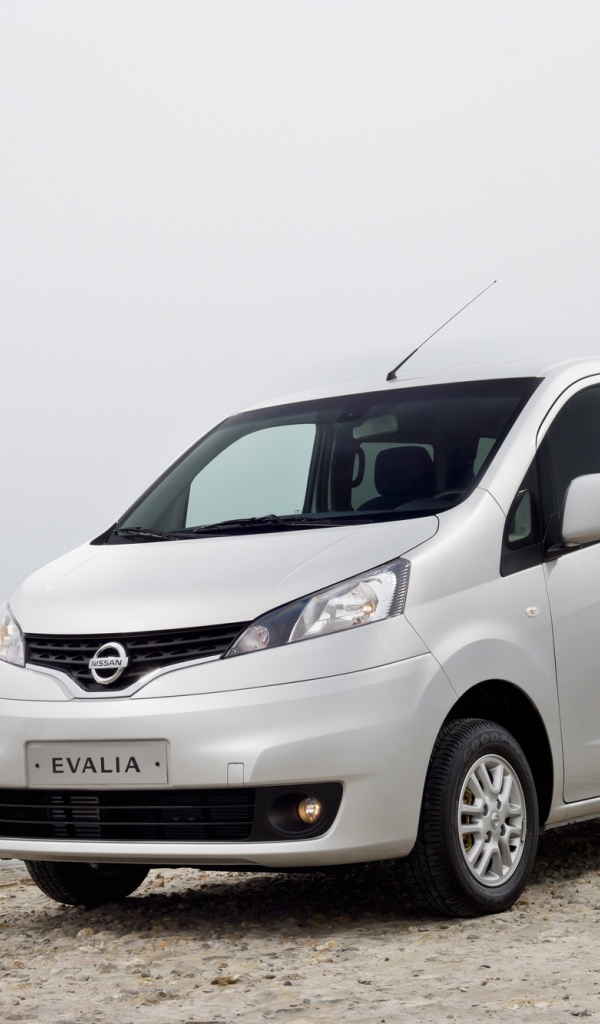 Красивый автомобиль Nissan NV200 в Москве