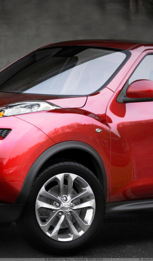 Тест драйв автомобиля Nissan Juke