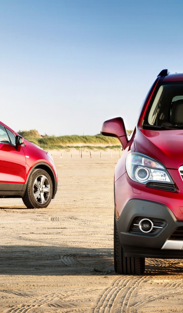 Автомобиль марки Opel  модели Antara