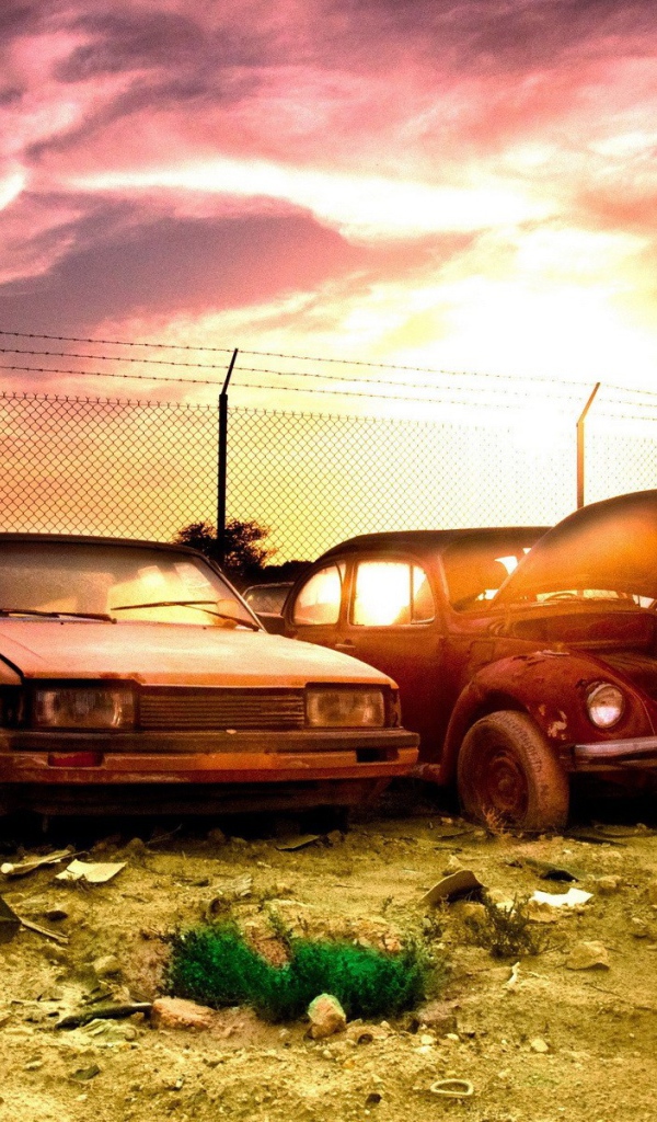 Свалка старых автомобилей