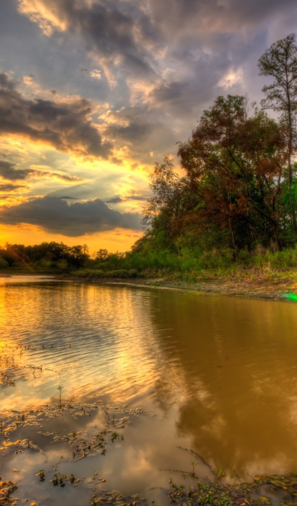 Автомобили на природе