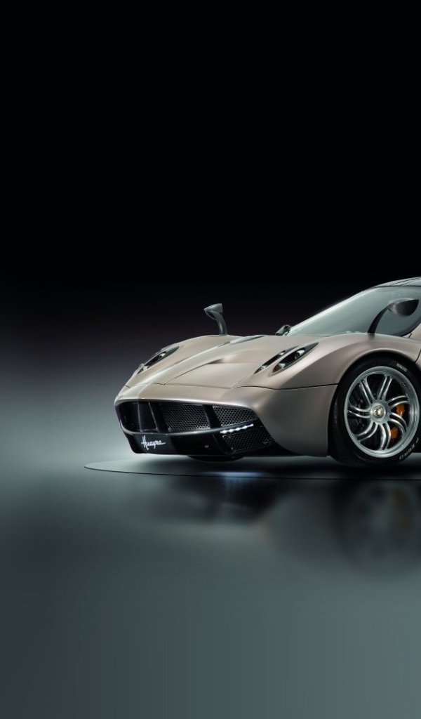 Тест драйв автомобиля Pagani Huayra