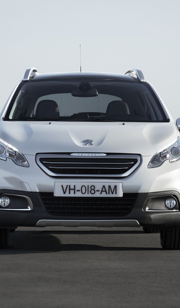 Дизайн автомобиля Peugeot 6008 2014 