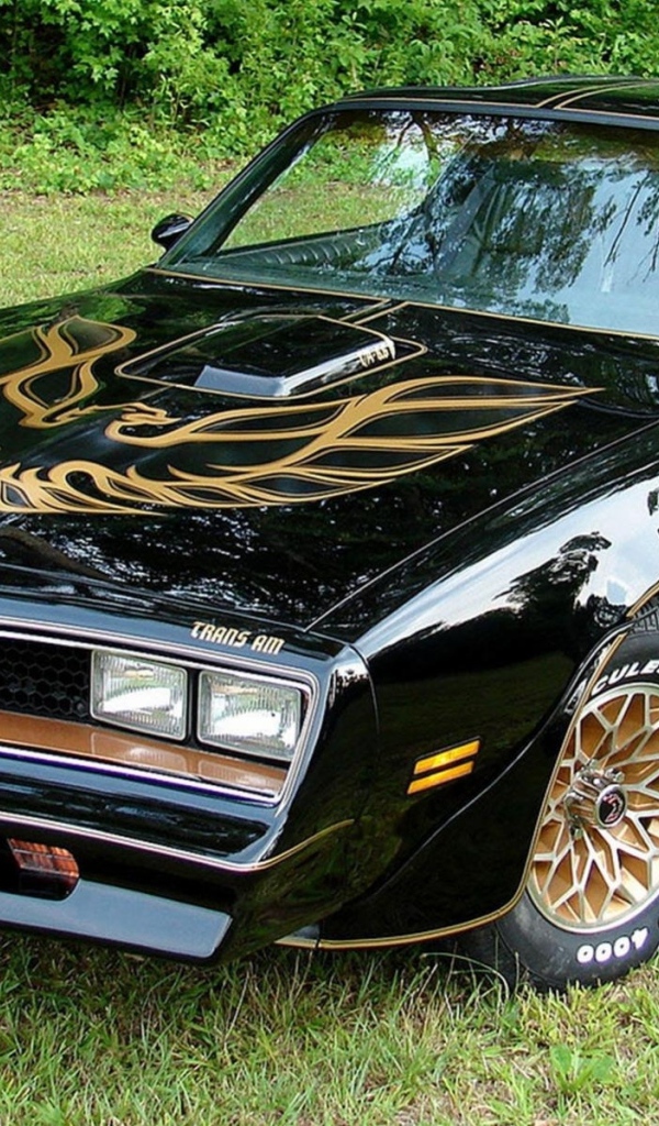 Автомобиль марки Pontiac модели Firebird