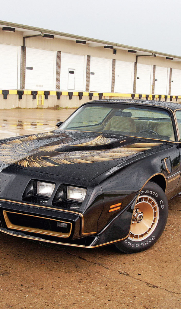 Надежная машина Pontiac Trans Am