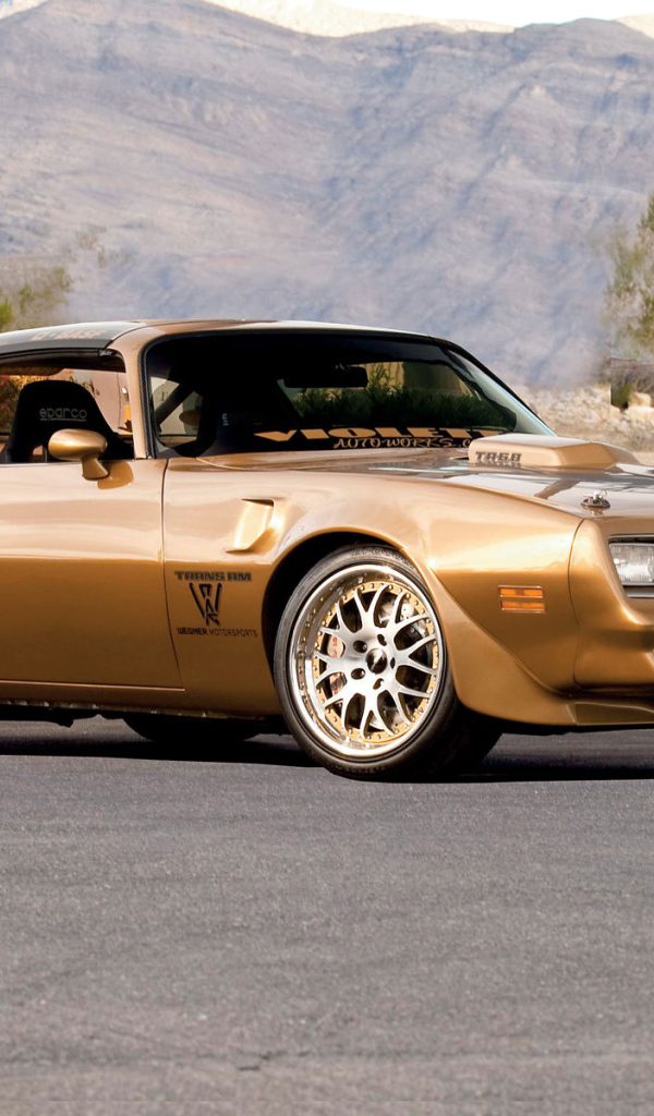 Тест драйв автомобиля Pontiac Trans Am