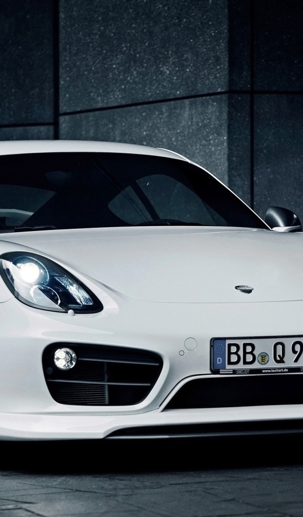 Текарт Porsche Cayman 2014 год