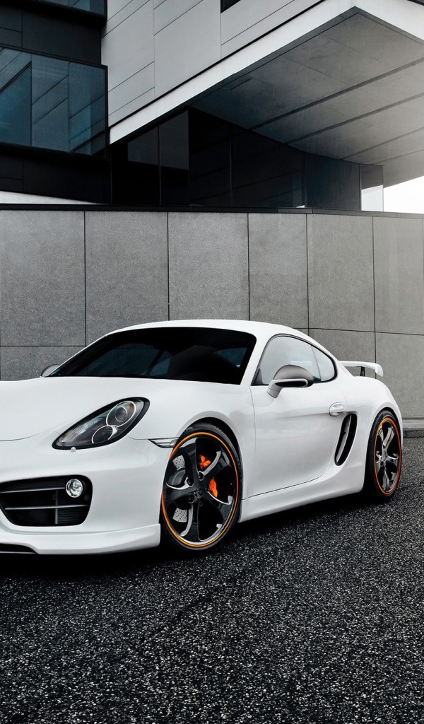 Techart Porsche Cayman 2014 год