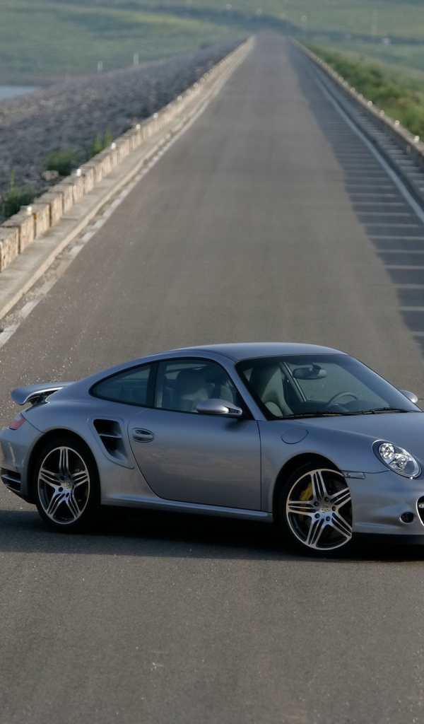 Серебристый Порш 911