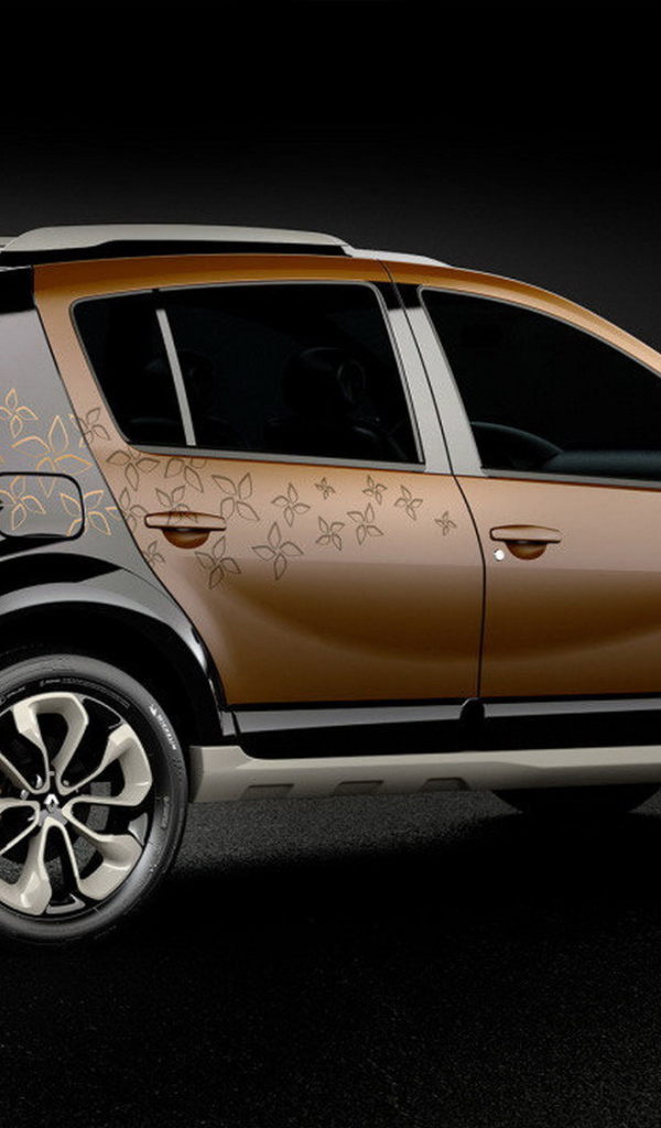 Красивый автомобиль Renault Sandero