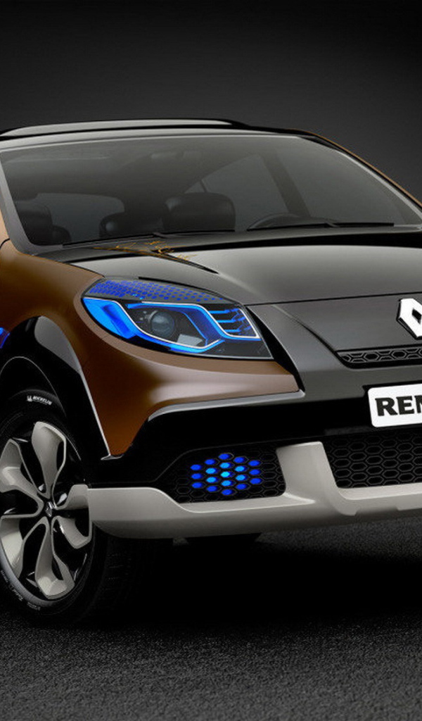 Красивый автомобиль Renault Sandero в Москве