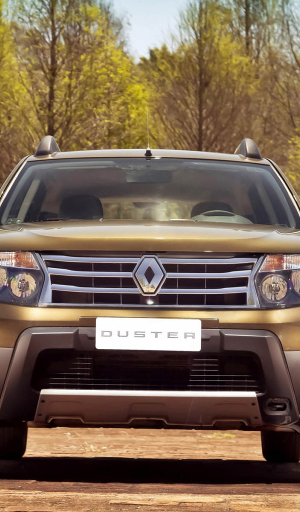 Дизайн автомобиля Renault Duster