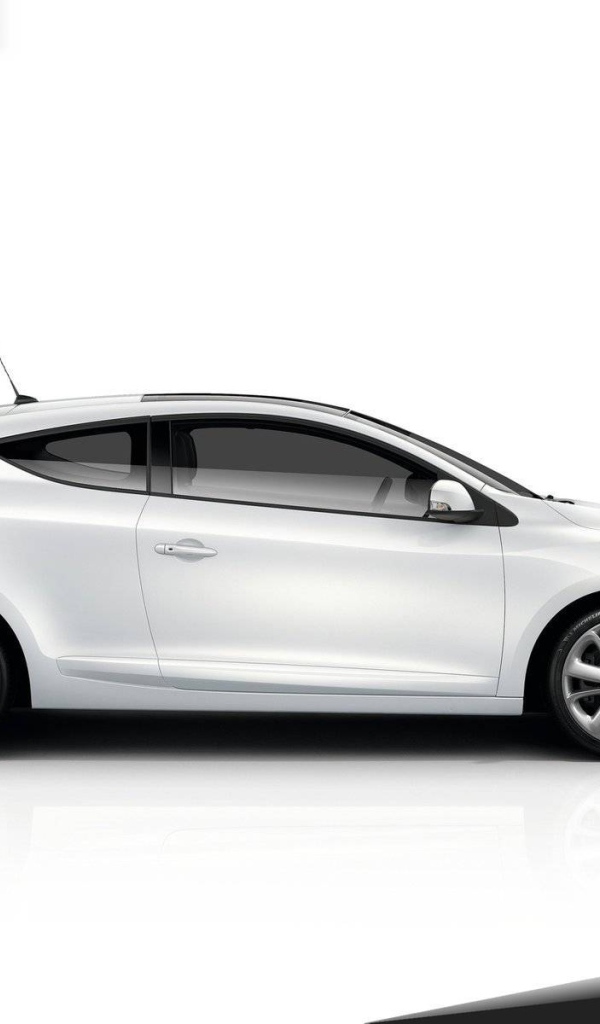 Фото автомобиля Renault Megane 2014