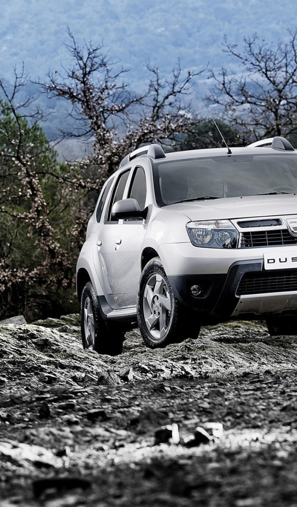 Надежный автомобиль Renault Duster