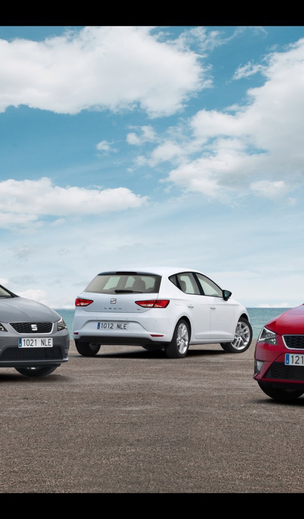 Красивый автомобиль Seat leon