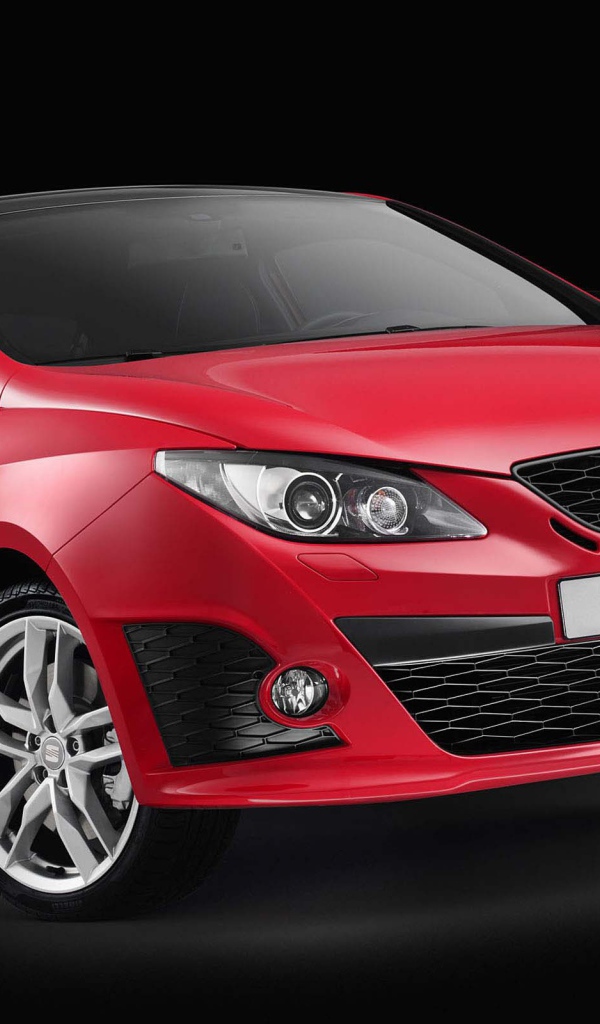Красивый автомобиль Seat Ibiza