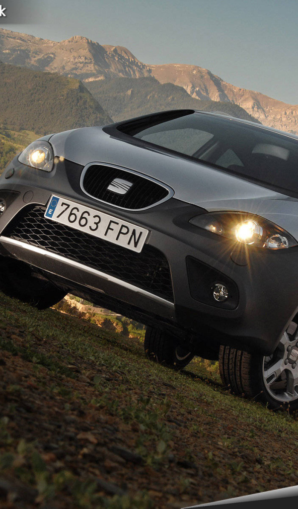 Автомобиль Seat Altea на дороге