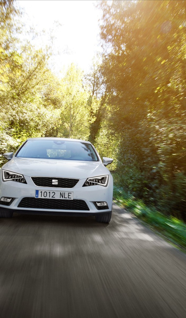 Автомобиль Seat leon на дороге