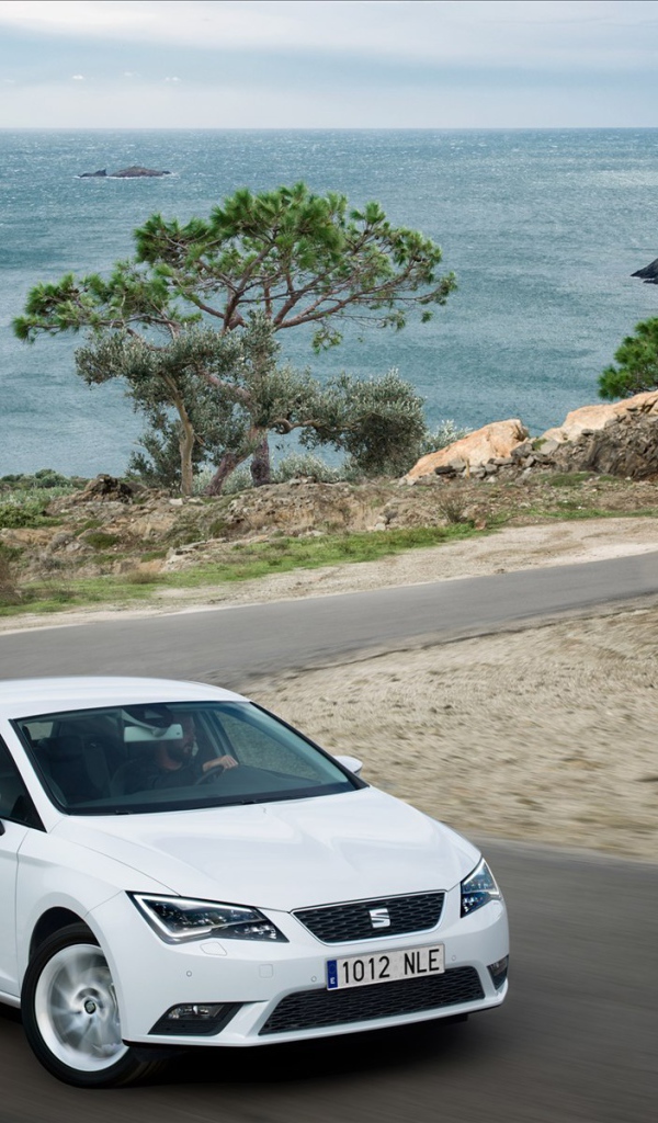  Надежный автомобиль Seat leon