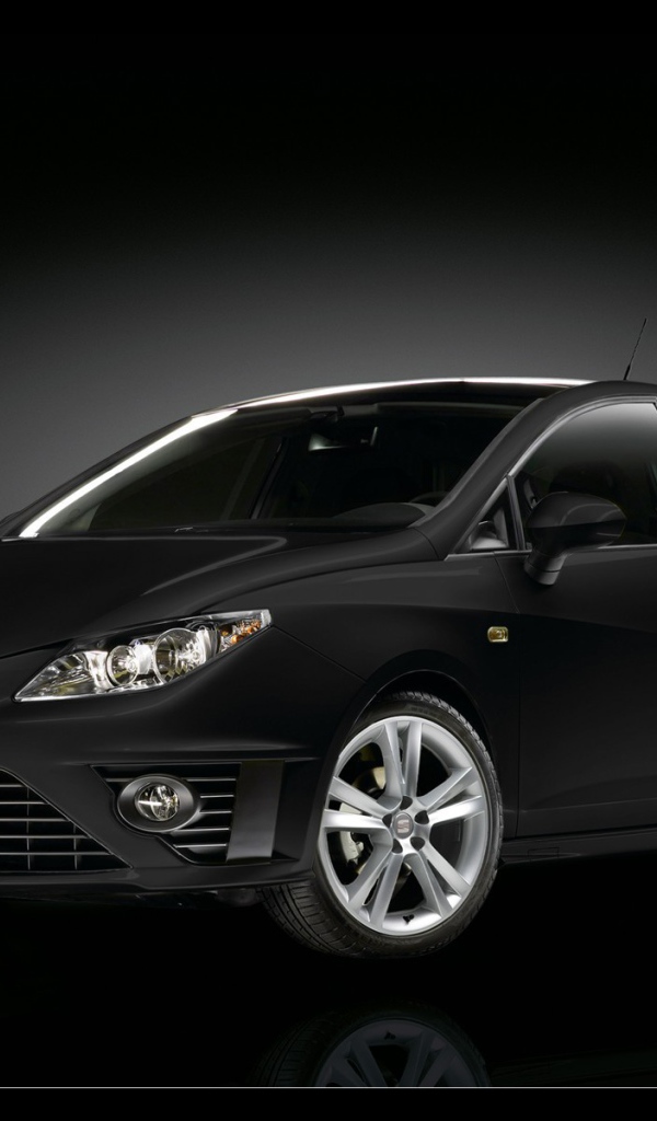 Надежный автомобиль Seat Ibiza