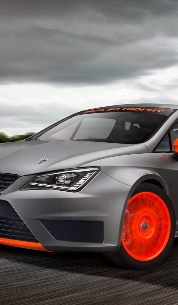  Надежная машина Seat Ibiza