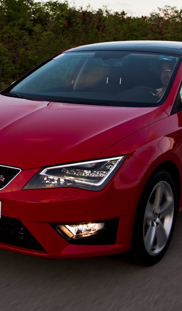 Надежная машина Seat Leon 2014
