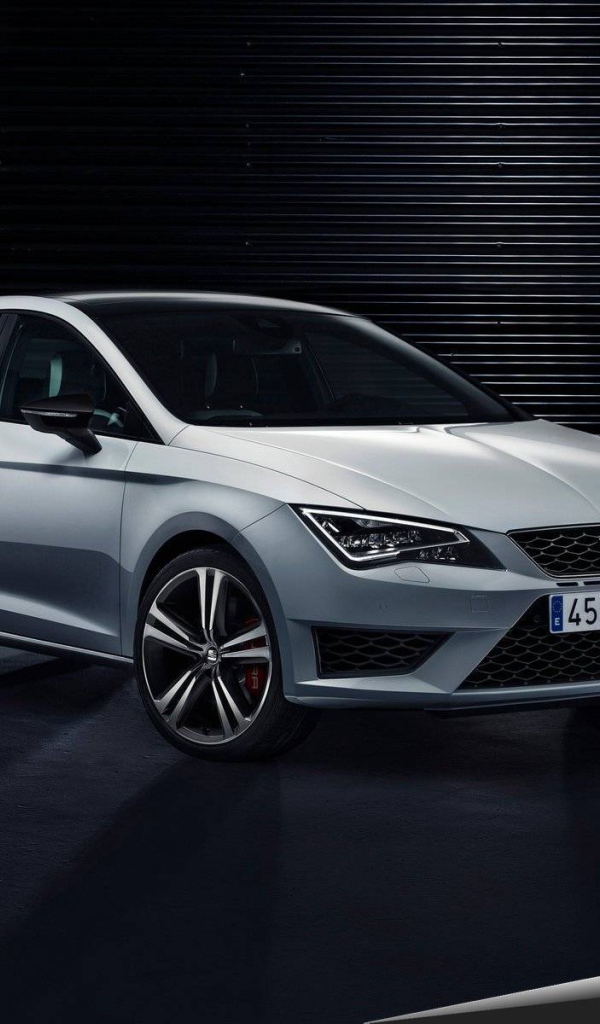 Надежная машина Seat Leon Cupra 2014