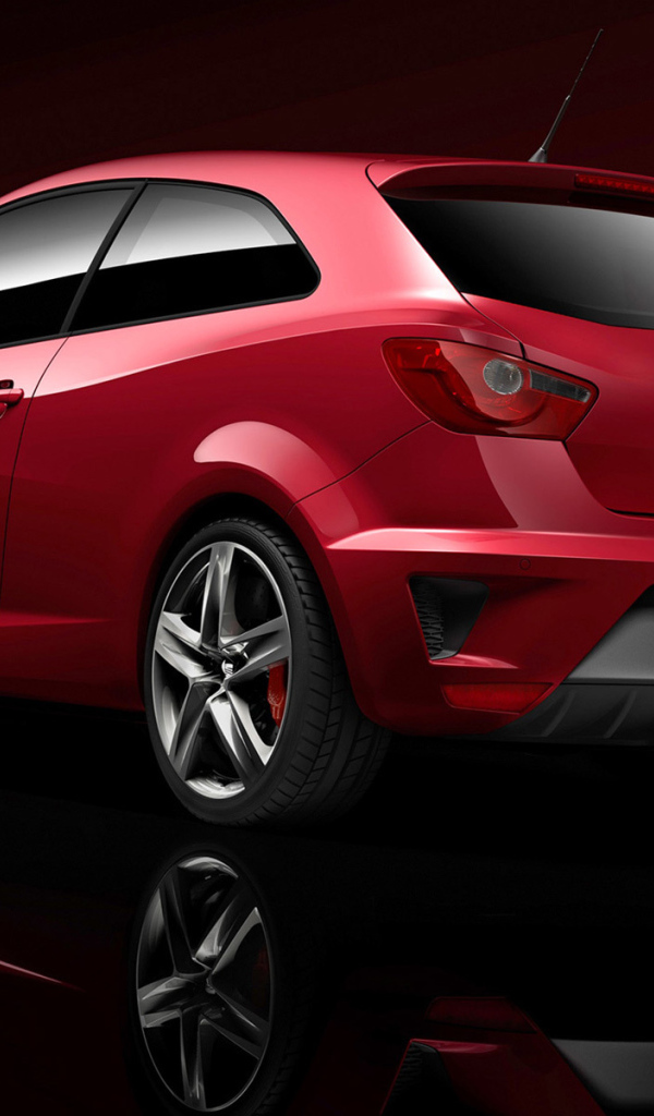 Автомобиль Seat Ibiza на дороге