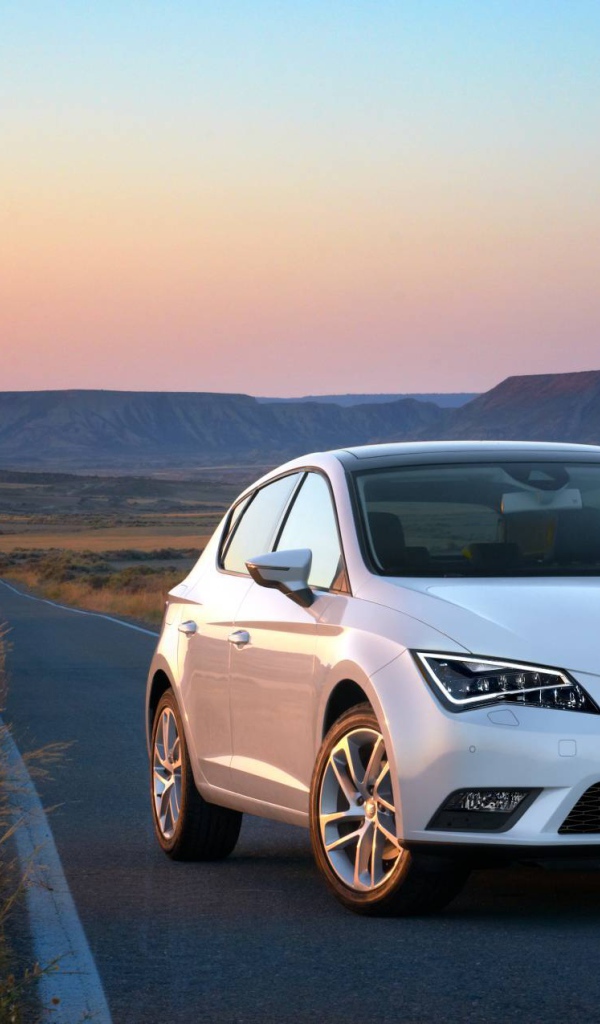 Надежная машина Seat leon