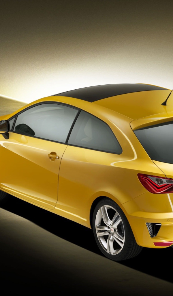 Тест драйв автомобиля Seat Ibiza