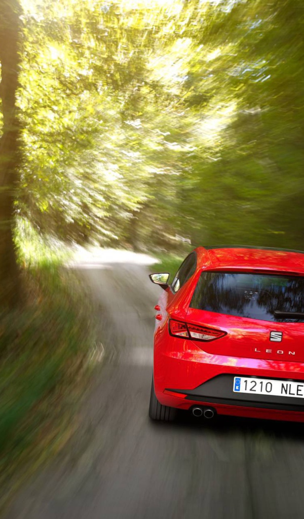  Новая машина Seat leon