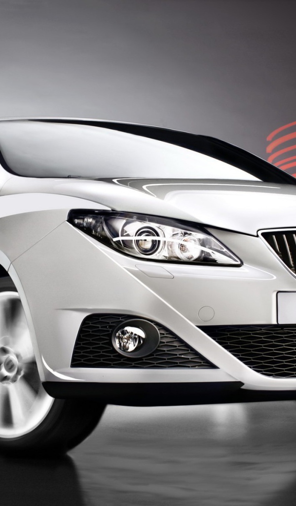  Автомобиль марки Seat модели Ibiza