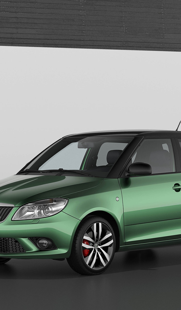 Красивый автомобиль Skoda Fabia