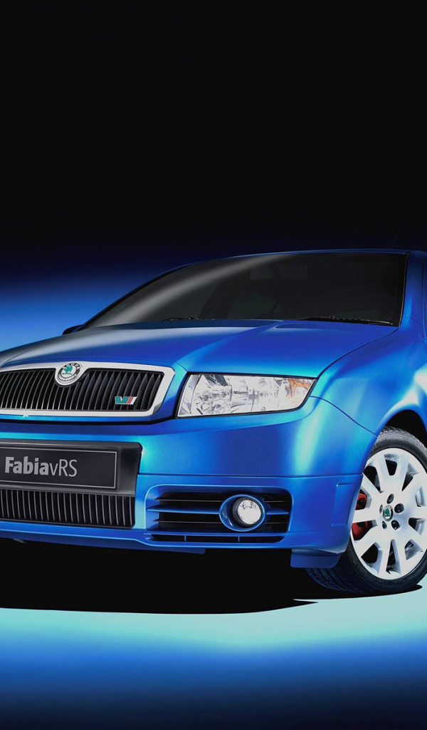 Красивый автомобиль Skoda Fabia в Москве