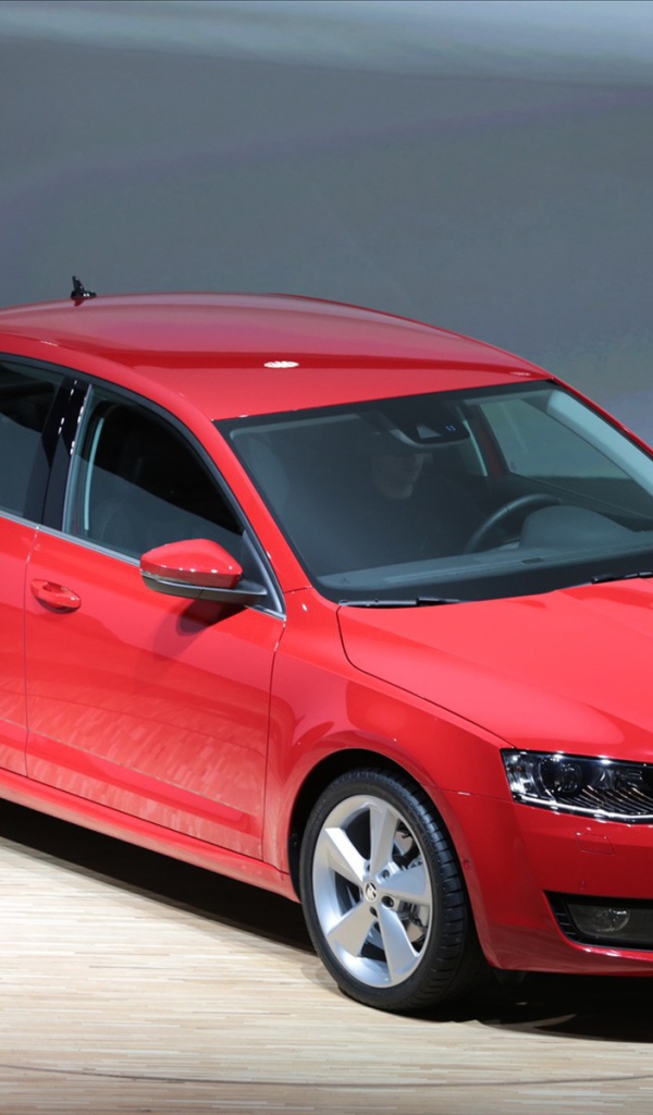 Красивый автомобиль Skoda Octavia 2013 в Москве