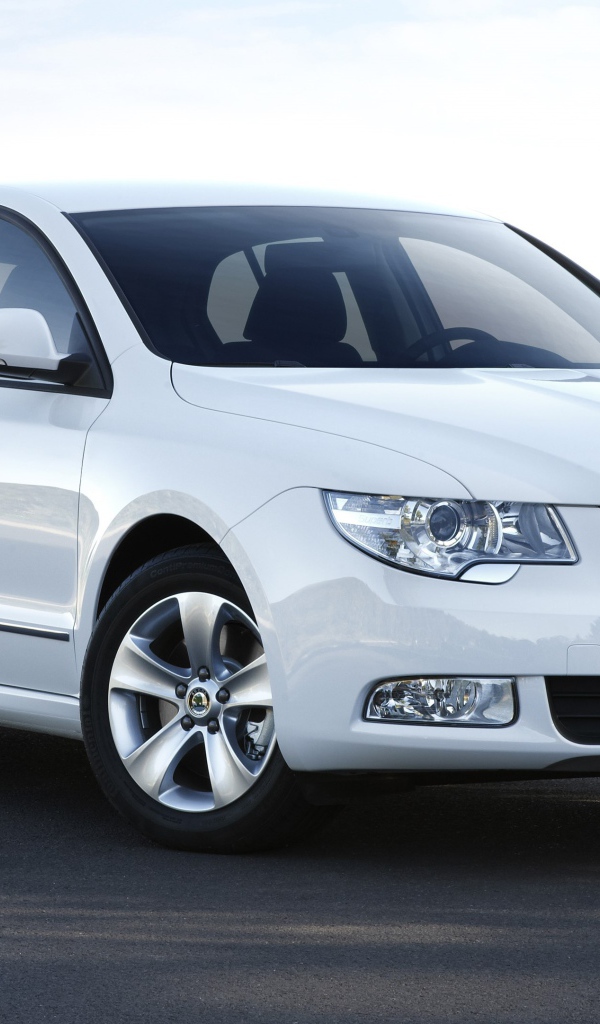 Красивый автомобиль Skoda Octavia Scout 2014