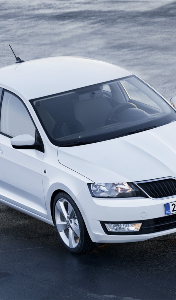 Красивый автомобиль Skoda Rapid в Москве