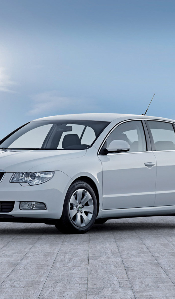 Красивый автомобиль Skoda SuperB в Москве