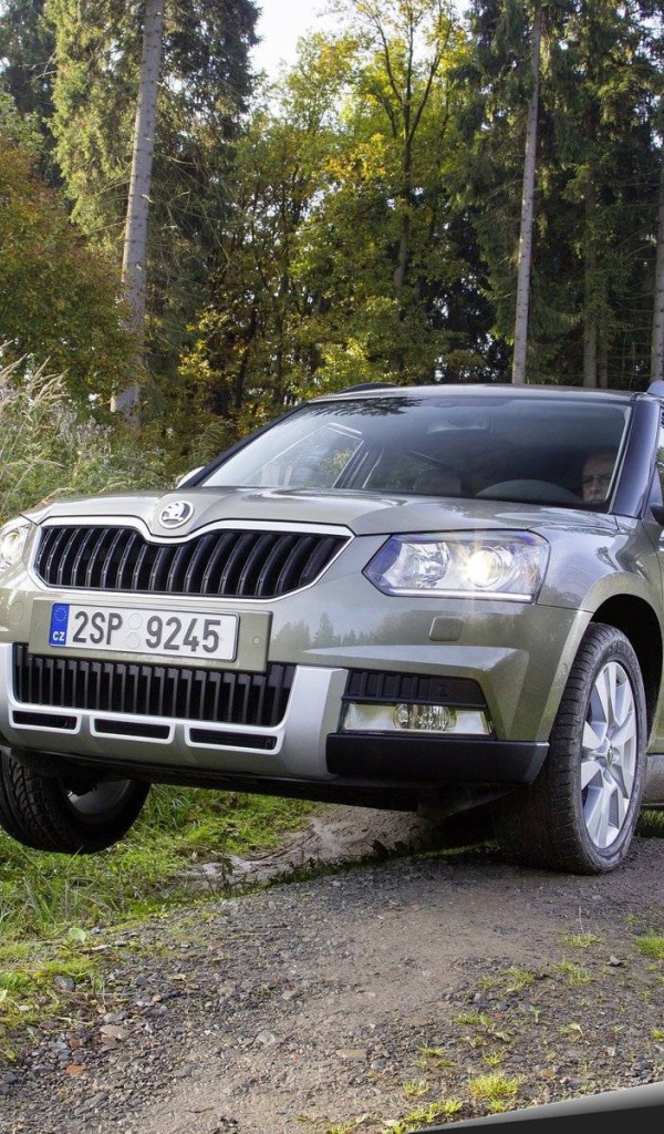 Красивый автомобиль Skoda Yeti 2014 в Москве