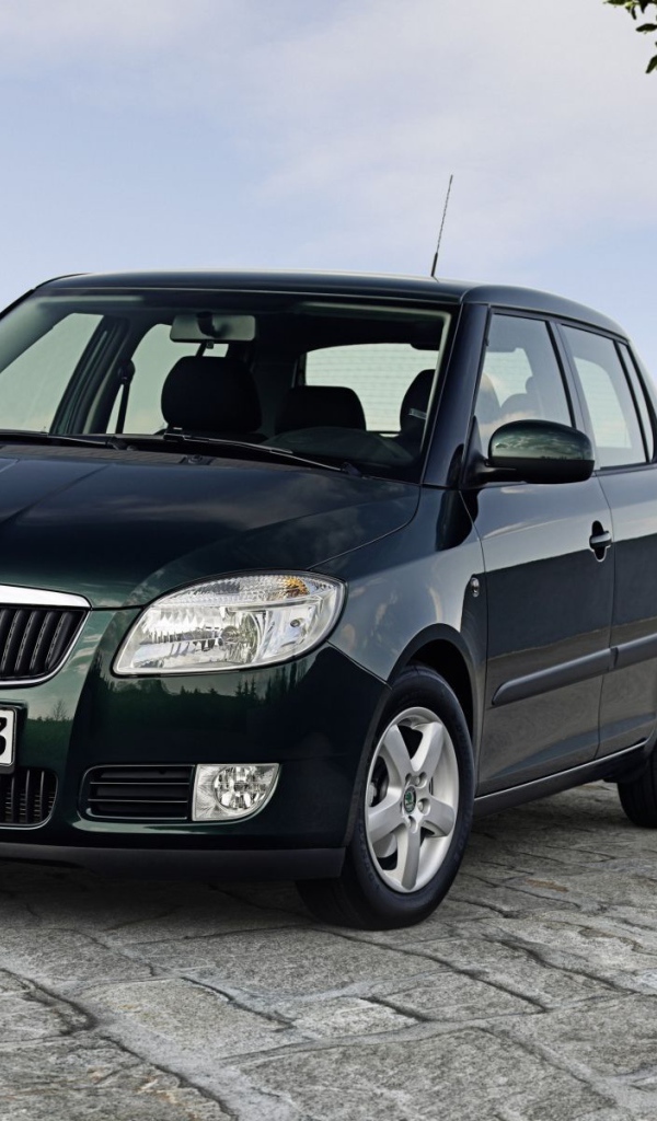 Автомобиль марки Skoda модели Fabia