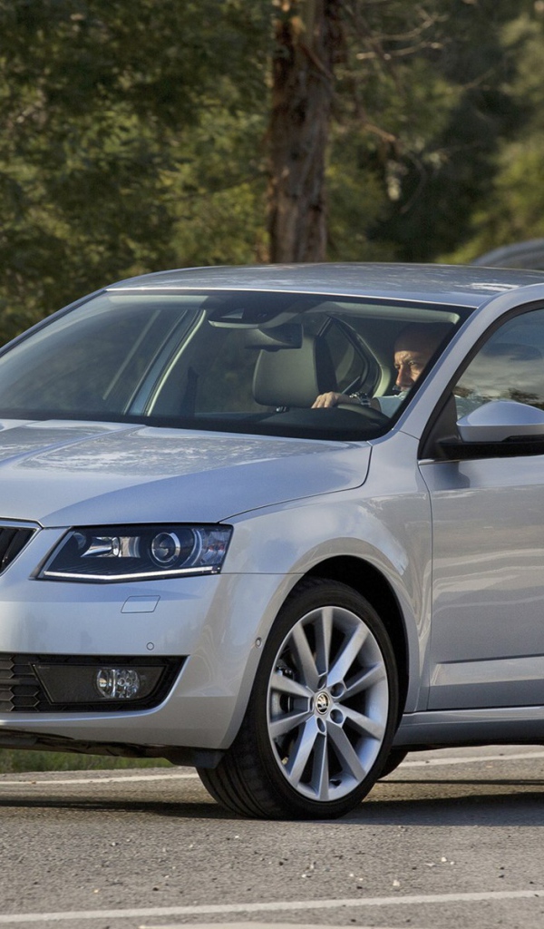 Автомобиль марки Skoda модели Octavia 2013