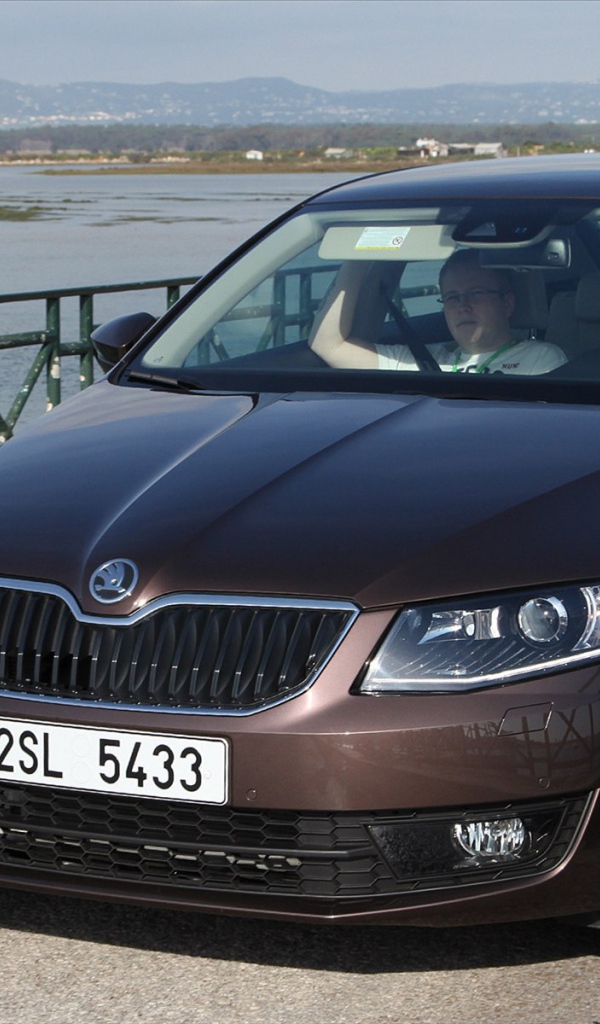 Дизайн автомобиля Skoda Octavia 2013