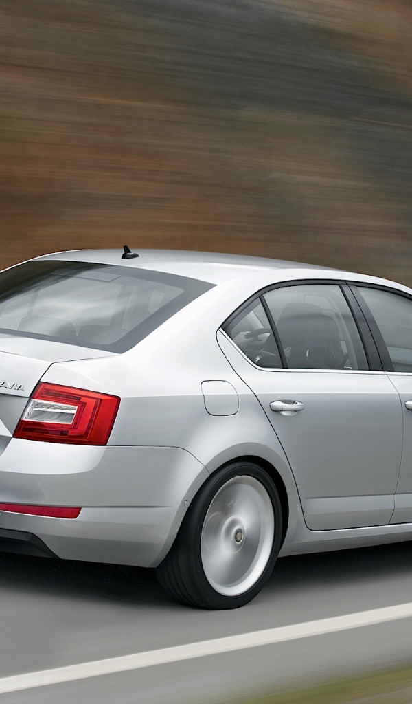 Фото автомобиля Skoda Octavia 2013