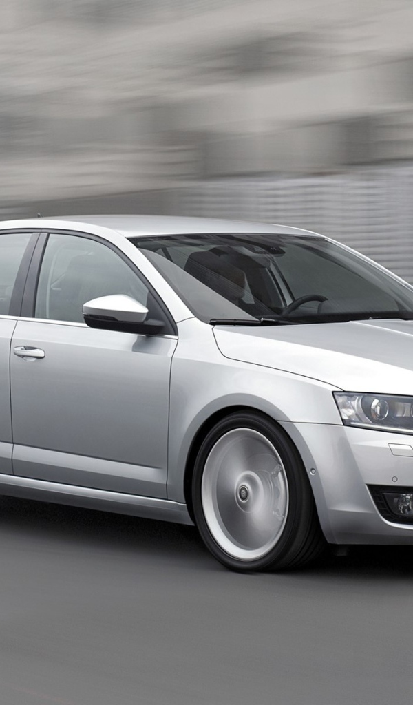 Надежный автомобиль Skoda Octavia 2013