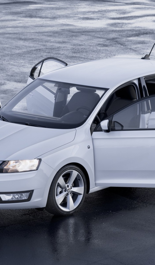 Надежный автомобиль Skoda Rapid